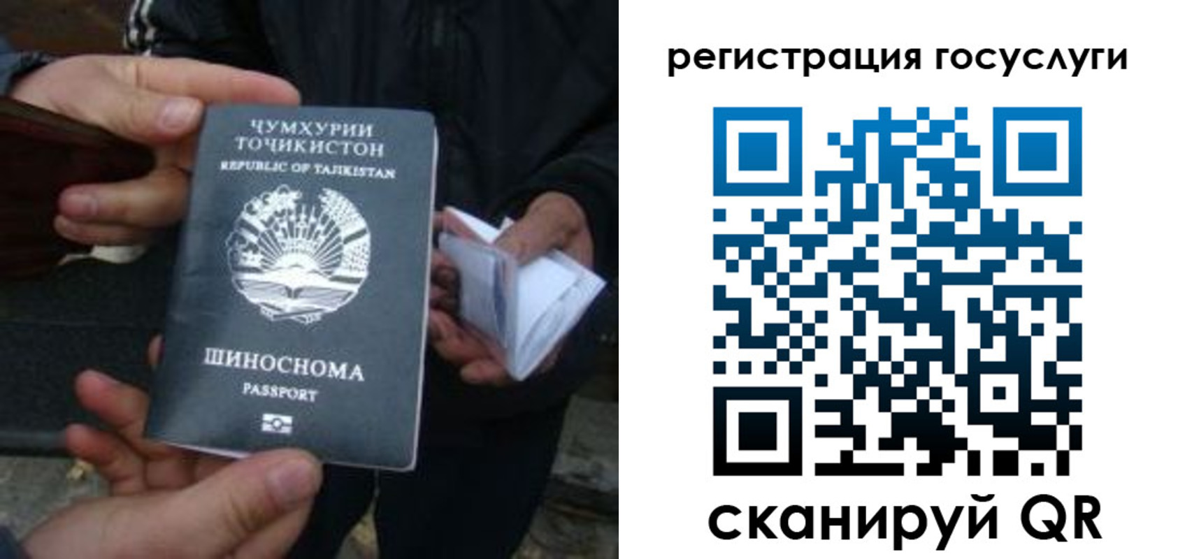прописка регистрация в Звенигово
